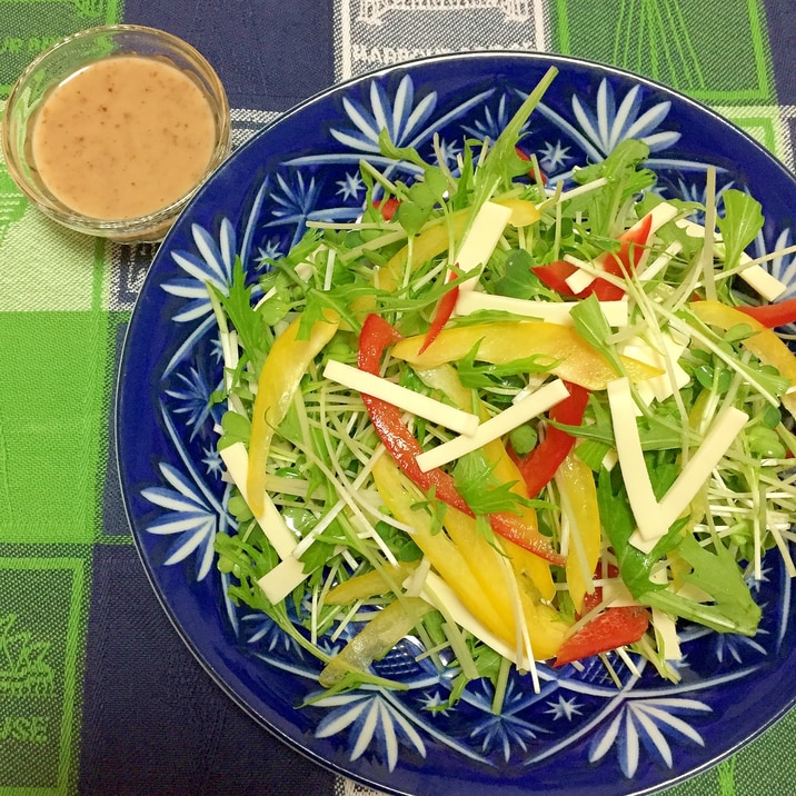 水菜カイワレパプリカチーズの生野菜サラダ♪
